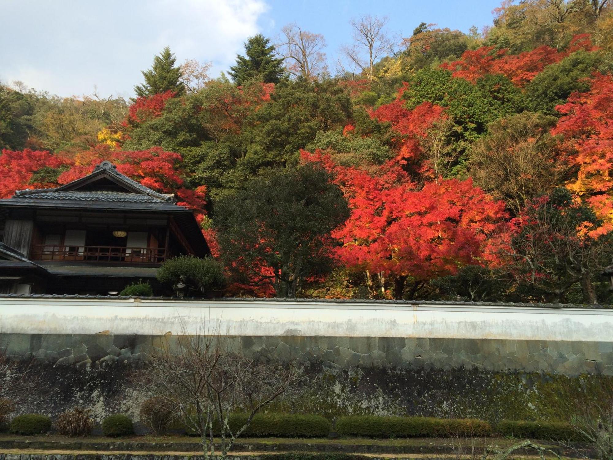 Noren Yado Meigetsu Hotel Tsuwano Exterior photo